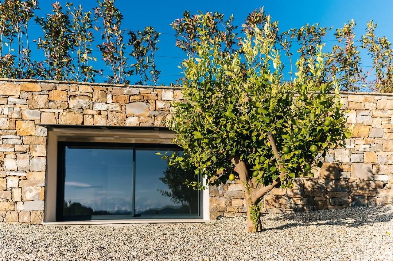 Villa Sabrina Riviera Dei Fiori A Picco Sul Mare Con Piscina Privata ,Wellness & Spa Imperia